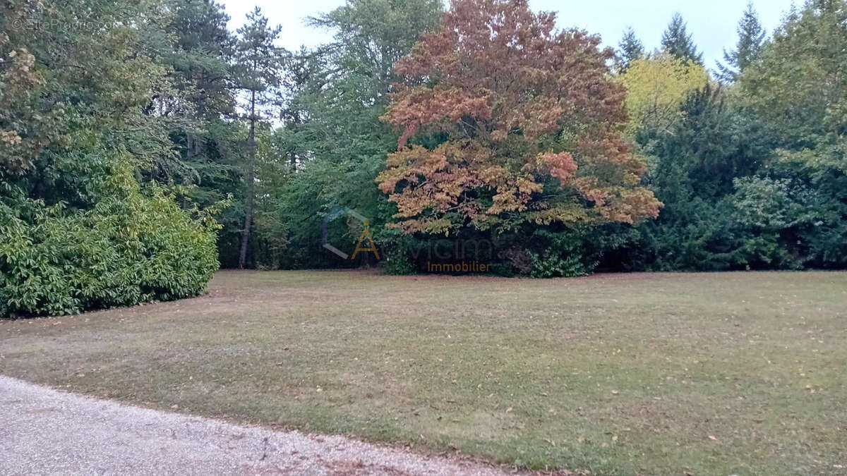 parc arboré éentierement irriguée par un puit - Maison à NIHERNE