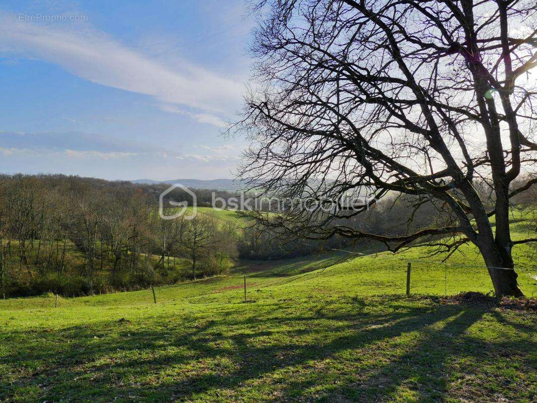 Propriété Gersoise avec deux maisons et 4,5 hectares, idéale pour différents projets - photo 5