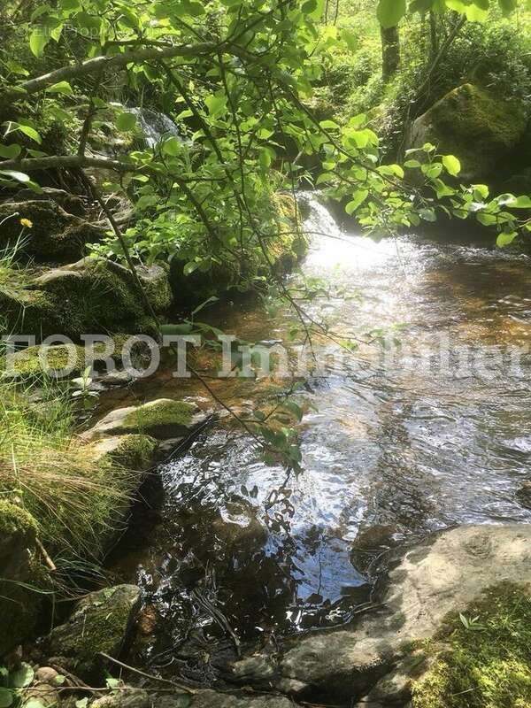 Maison à SAINT-BASILE