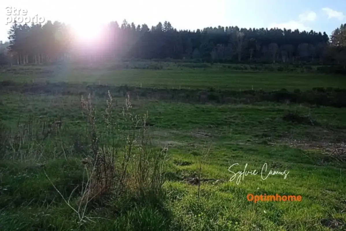 Terrain à bâtir – Vue dégagée – Cadre paisible – Proche commodités de 756 m² à DUNIERES (43) - photo 7