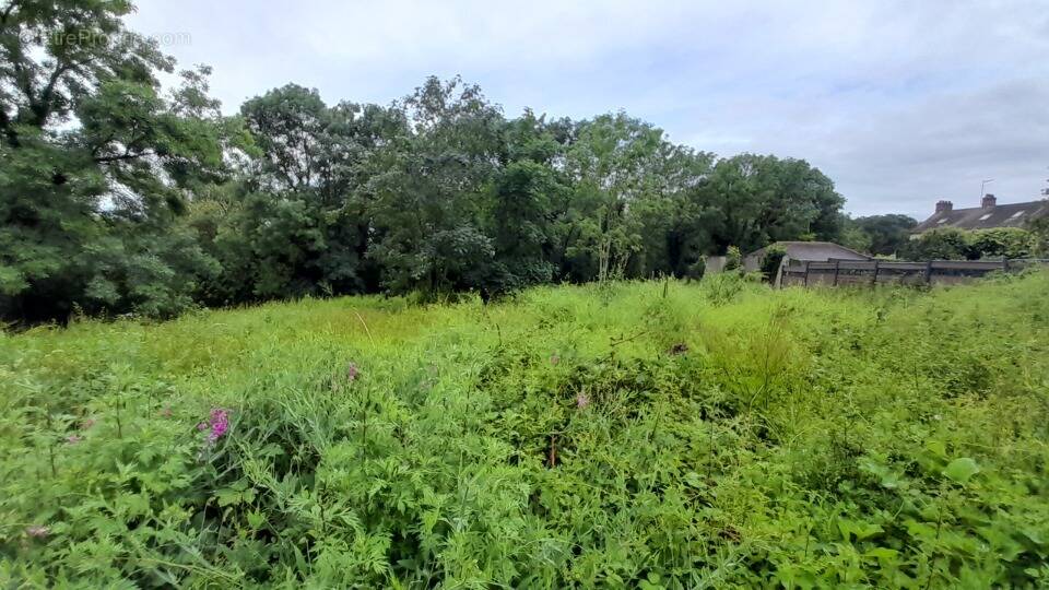 Photo Terrain à Limours au prix de 225 000€