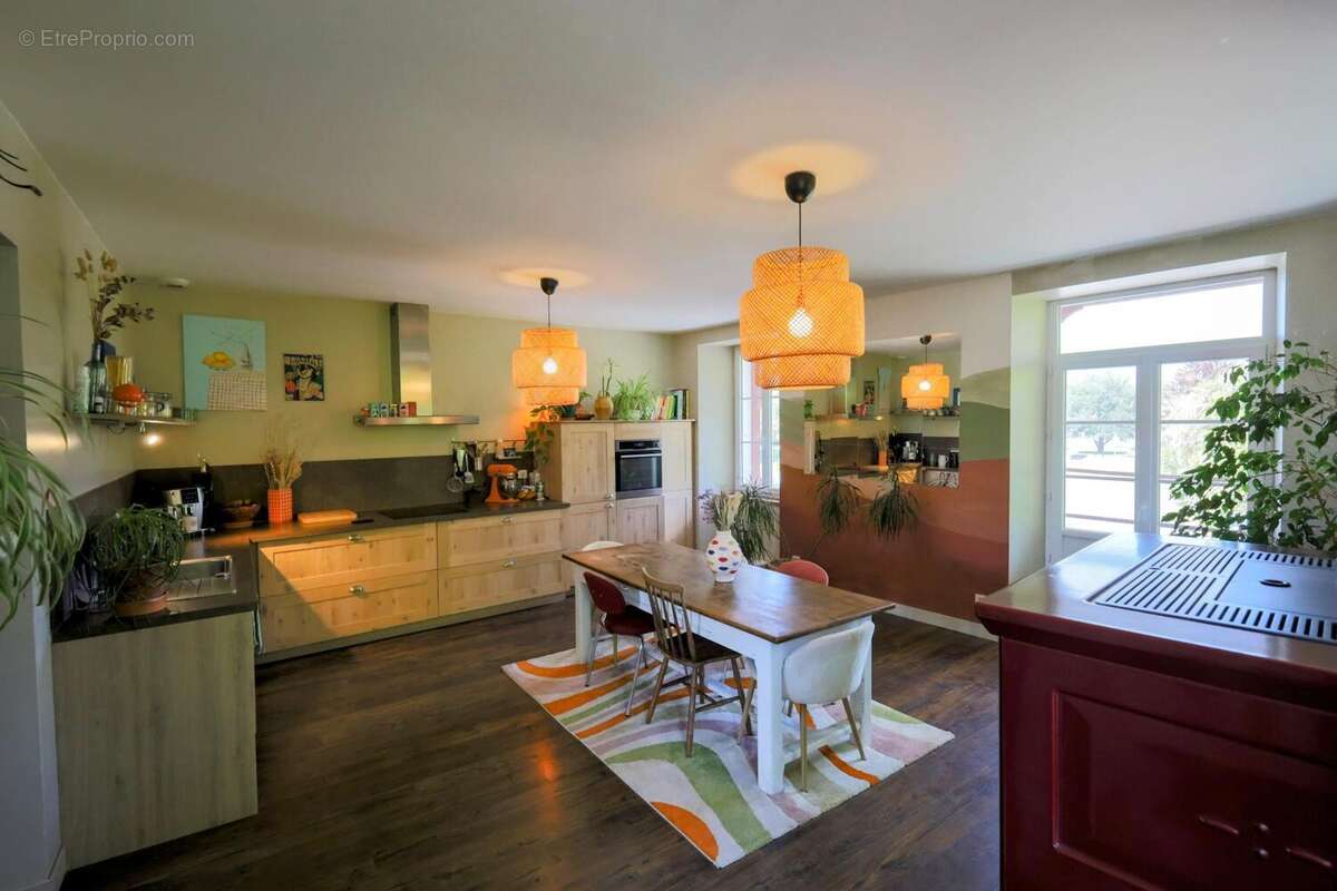 Photo 5 - Commerce à SAINT-PALAIS