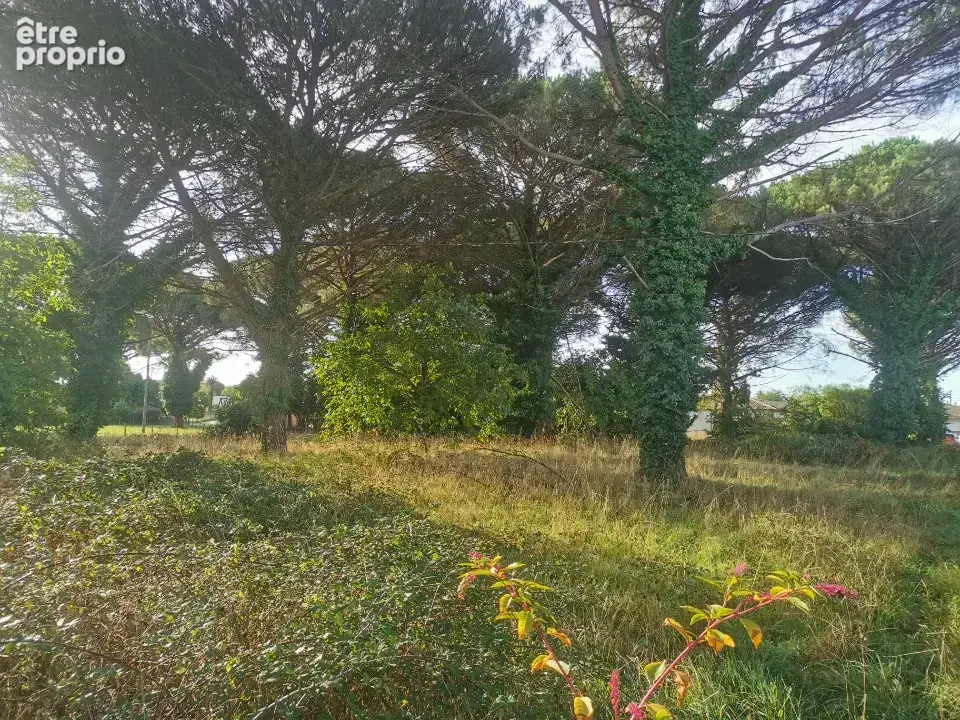 Terrain à LE BARP