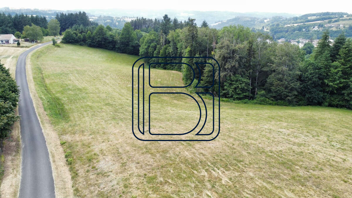 Terrain à VERTOLAYE