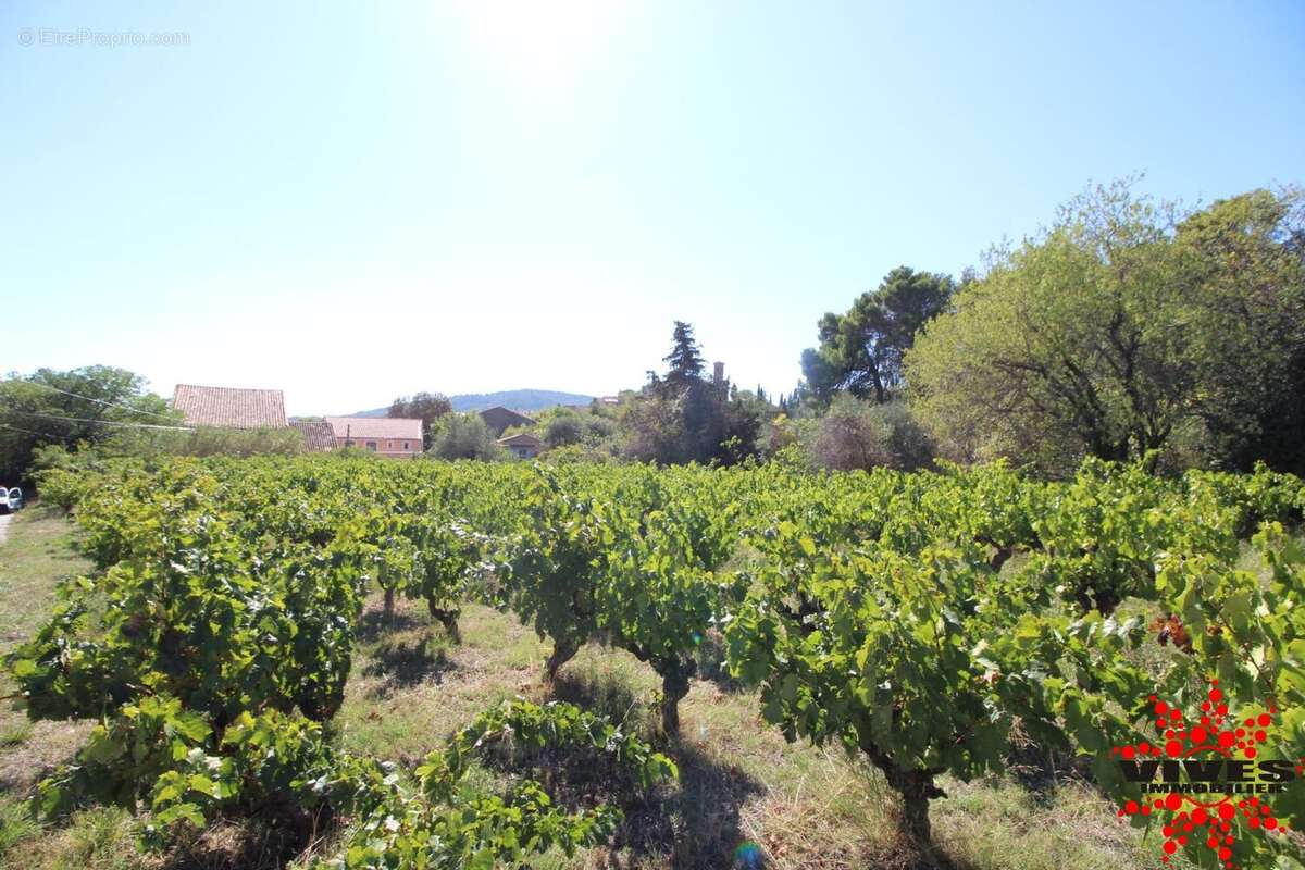 Terrain à MONTOULIERS