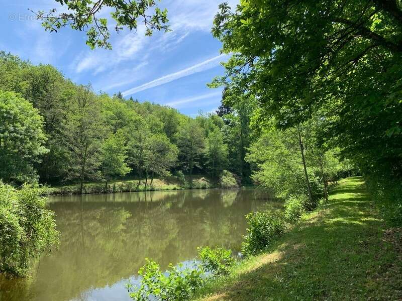 Terrain à PRESSIGNAC