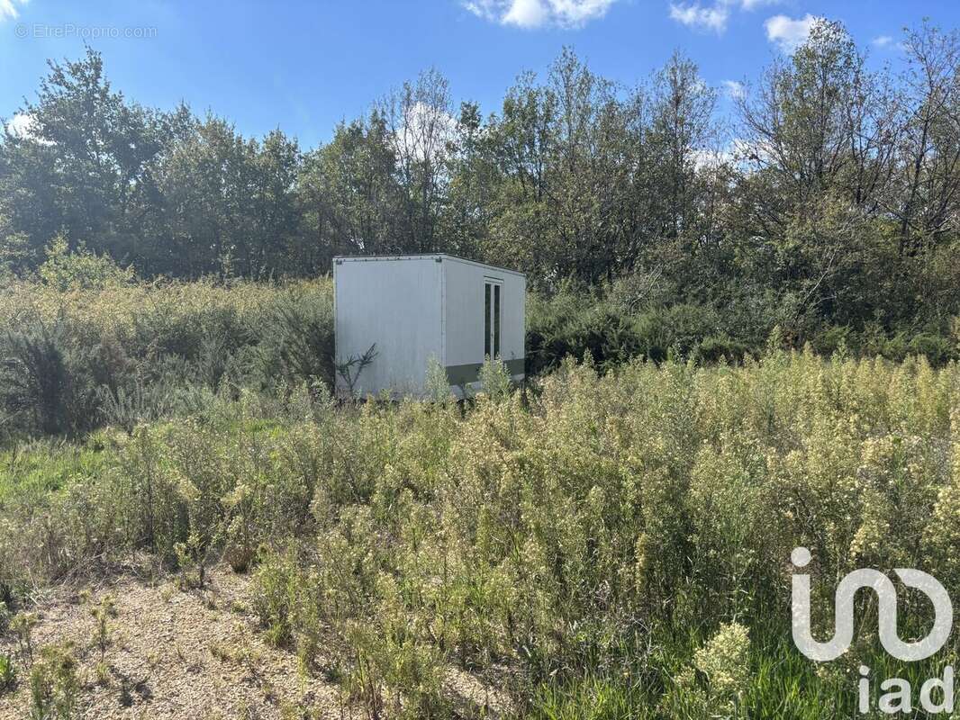 Photo 3 - Terrain à LA VILLE-DIEU-DU-TEMPLE