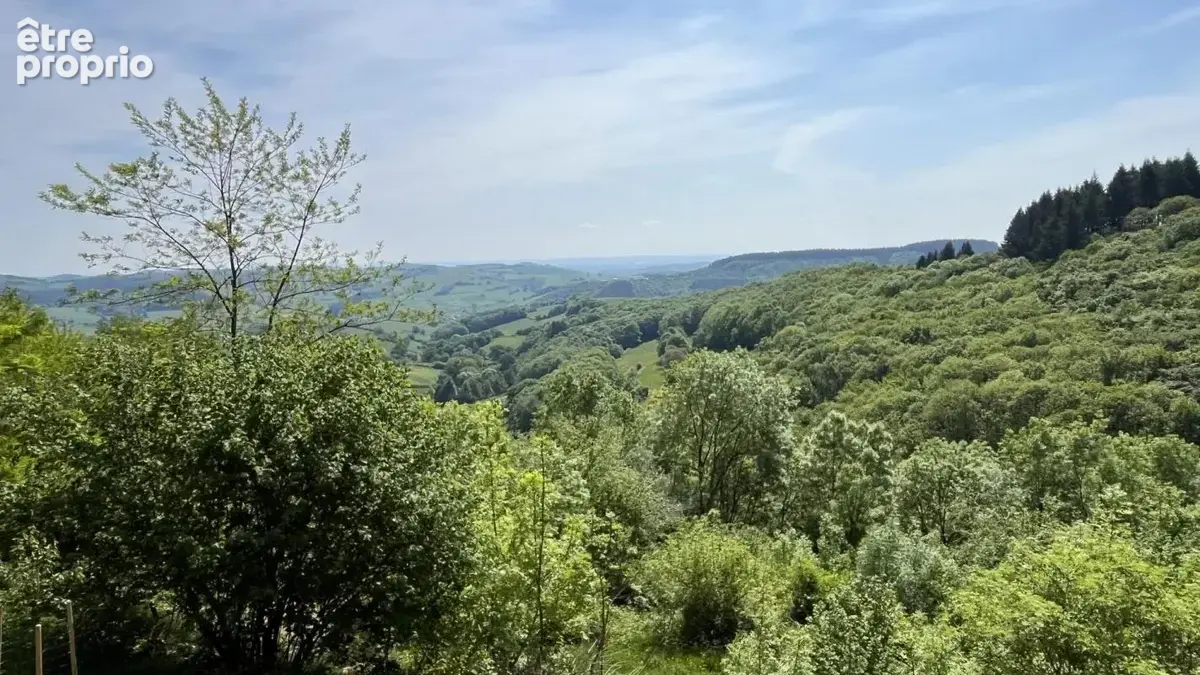 Propriété avec vue dégagée isolée au milieu de ses bois - photo 3