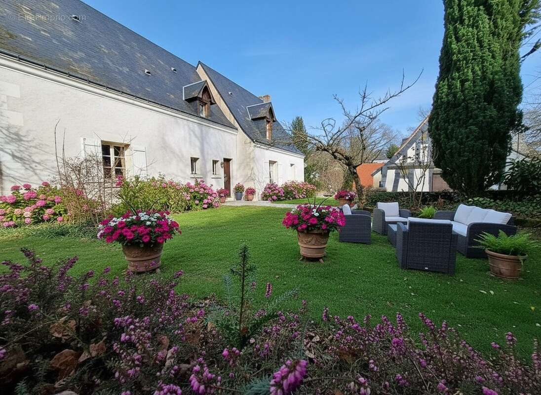 Maison à JOUE-LES-TOURS