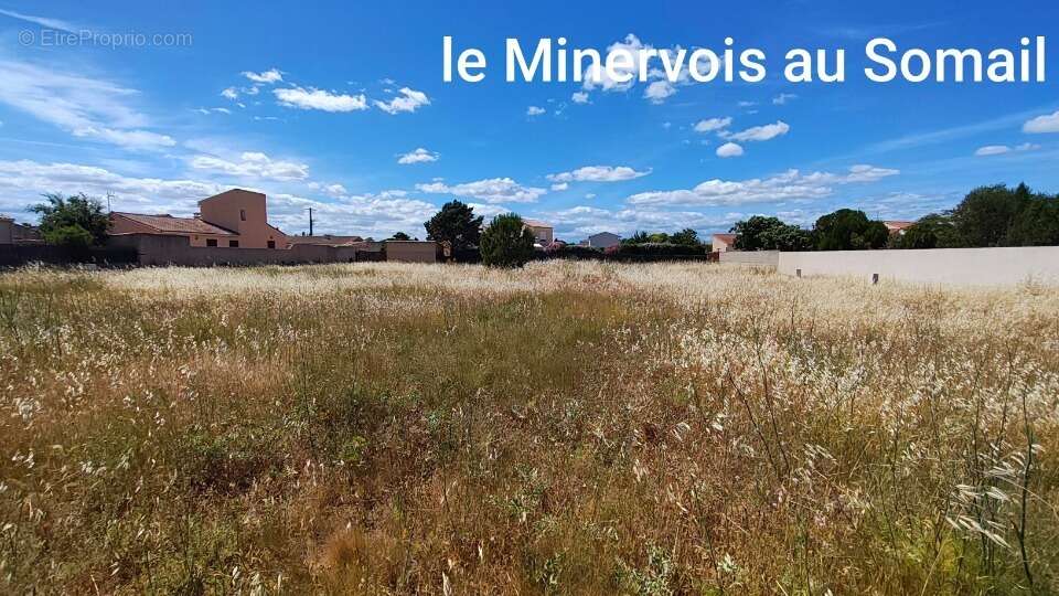 Terrain 636 m² à Saint-Nazaire-D'aude  - photo 3