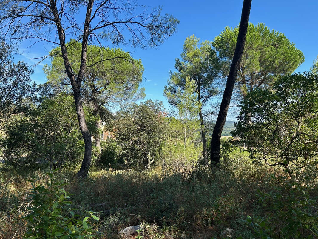 Magnifique terrain constructible arbore - photo 3