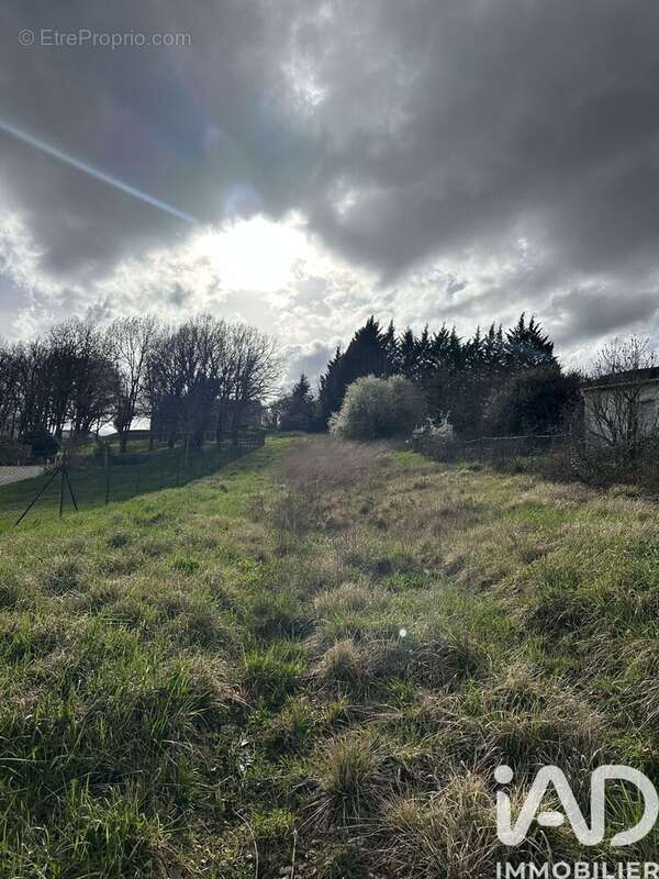 Photo 3 - Terrain à SAINT-PIERRE-LAFEUILLE