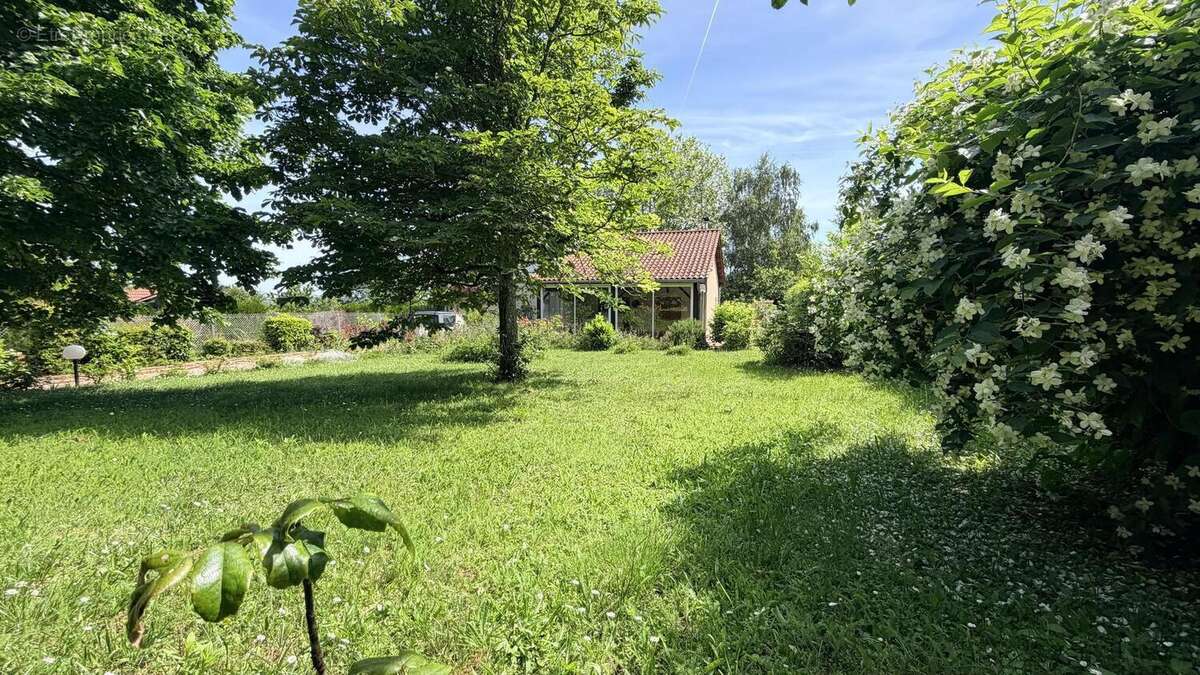 Photo 2 - Maison à LA TOUR-DE-SALVAGNY