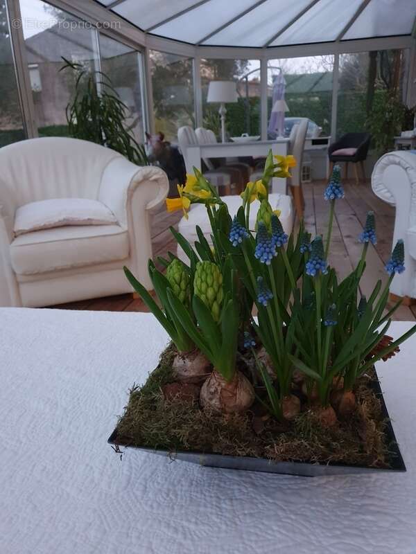 Autre à CASTELNAUDARY