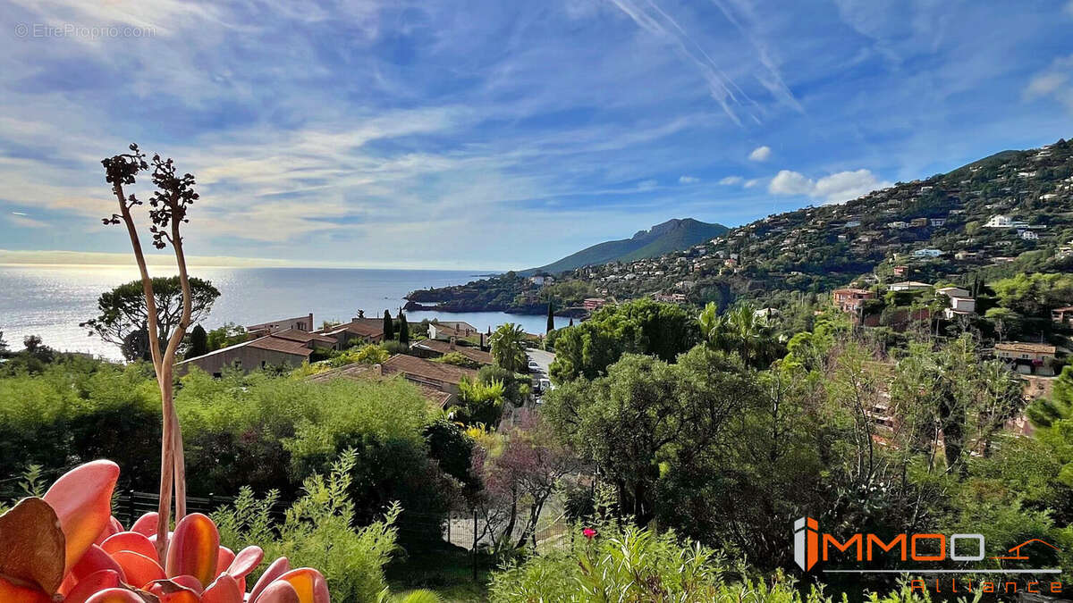 Appartement à THEOULE-SUR-MER