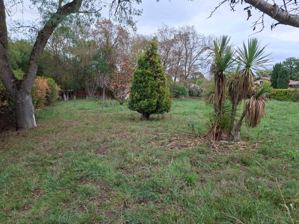 Terrain à TOURNEFEUILLE