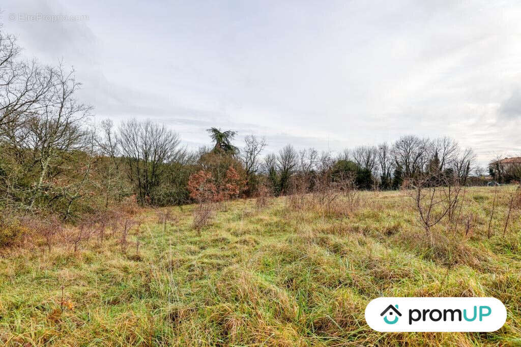 Terrain à VINDELLE