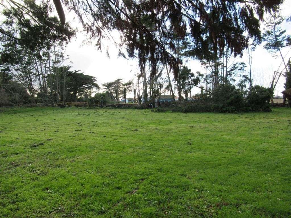 IMG_0894 - Terrain à BOUIN