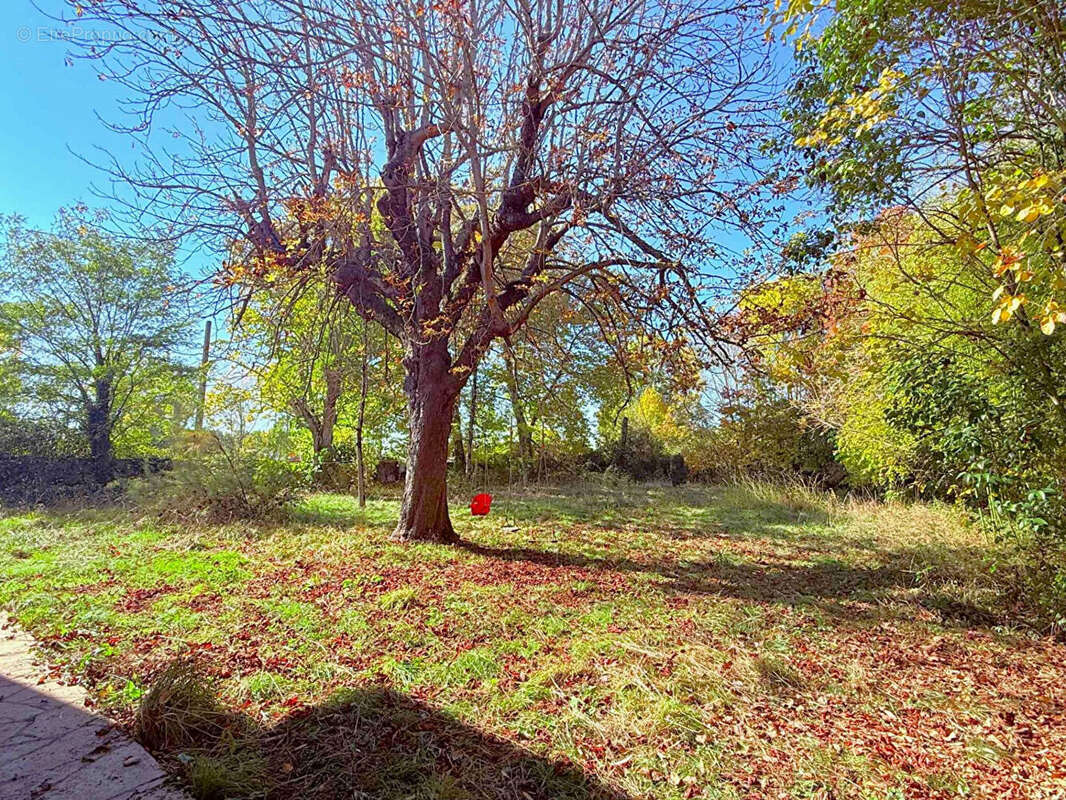 Maison à SAINT-VINCENT-DE-PAUL