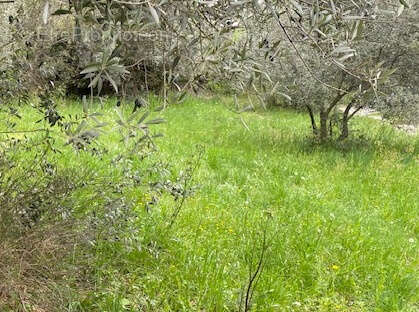 A vendre  proche commodités  peyruis terrain de 1285 m2 baisse de prix - photo 9