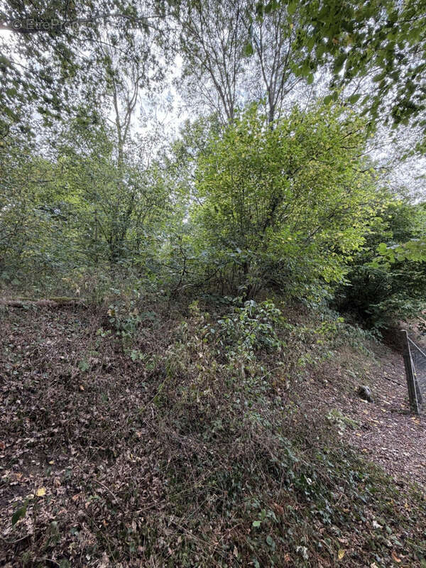Terrain boisé de 1 790 m² - Clermont 2