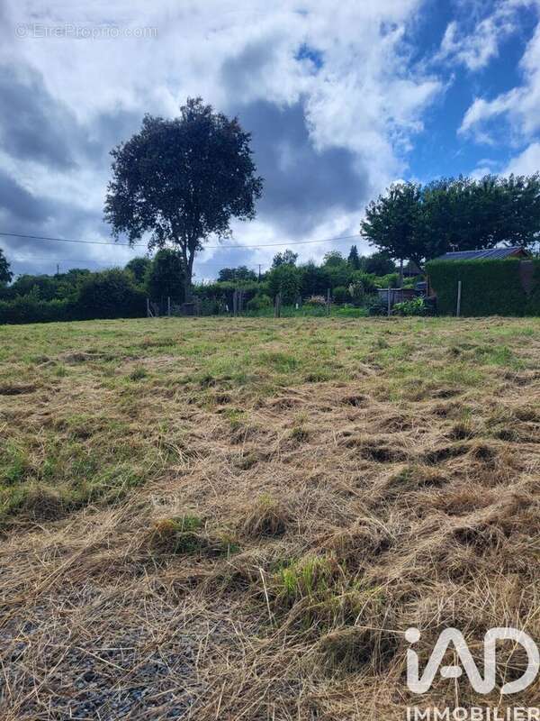 Photo 2 - Terrain à SAINT-PIERRE-SUR-ORTHE