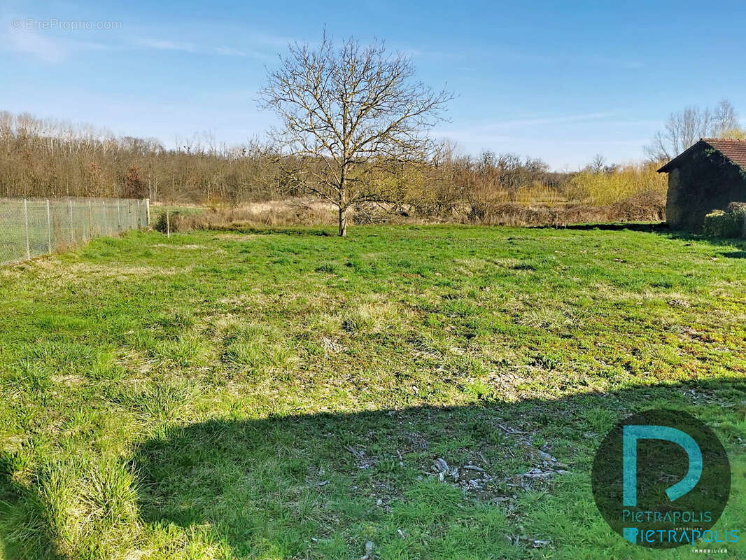 Terrain 3513 m² à Ozan  - photo 5