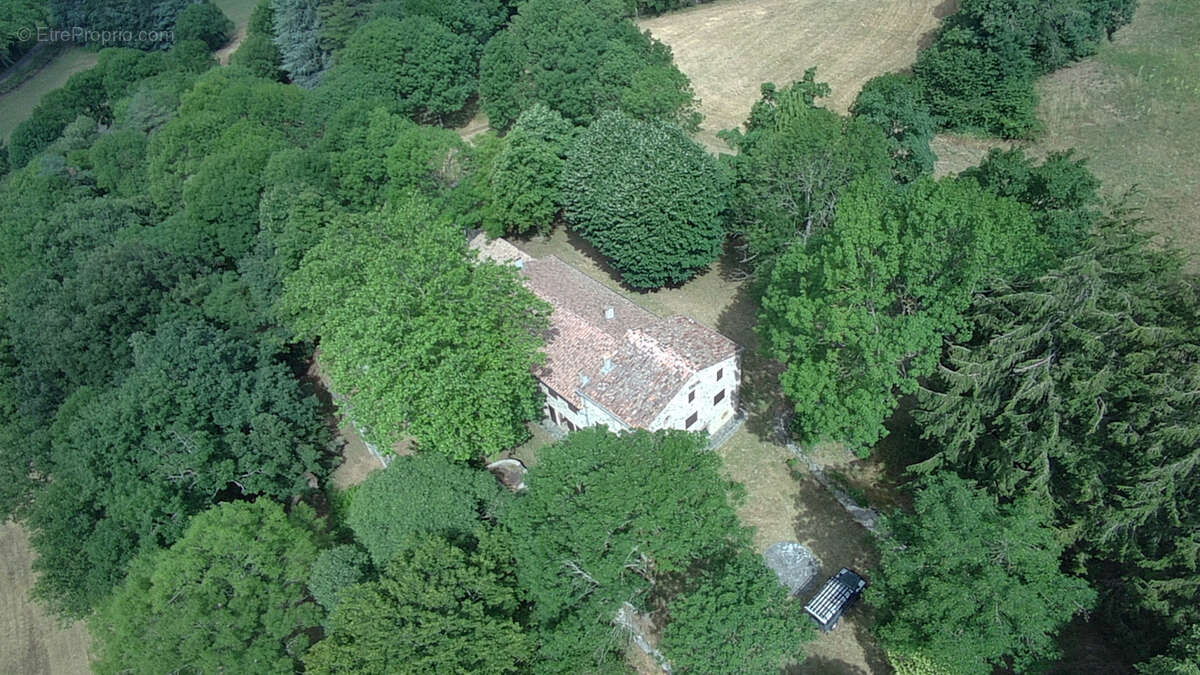 Haute Corbières - 20min de Limoux - Propriété d’Exception avec 98 ha de Forêt et Dépendances - photo 18