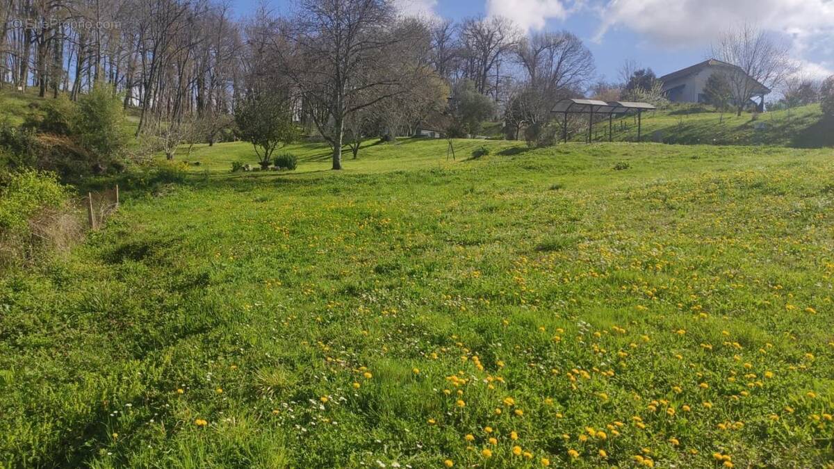 Terrain à SALIES-DE-BEARN