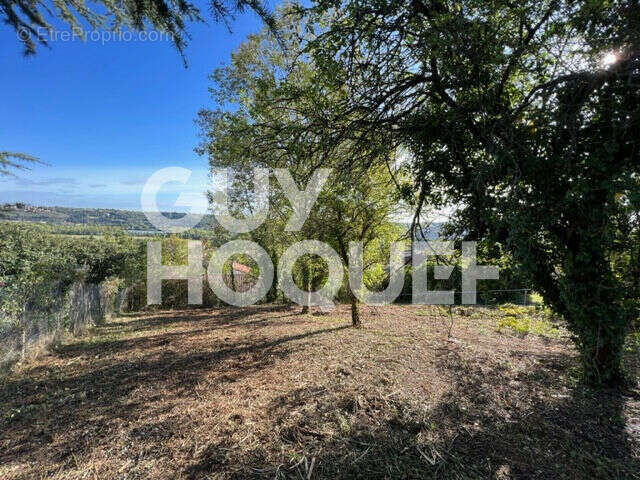 Terrain à LOIRE-SUR-RHONE