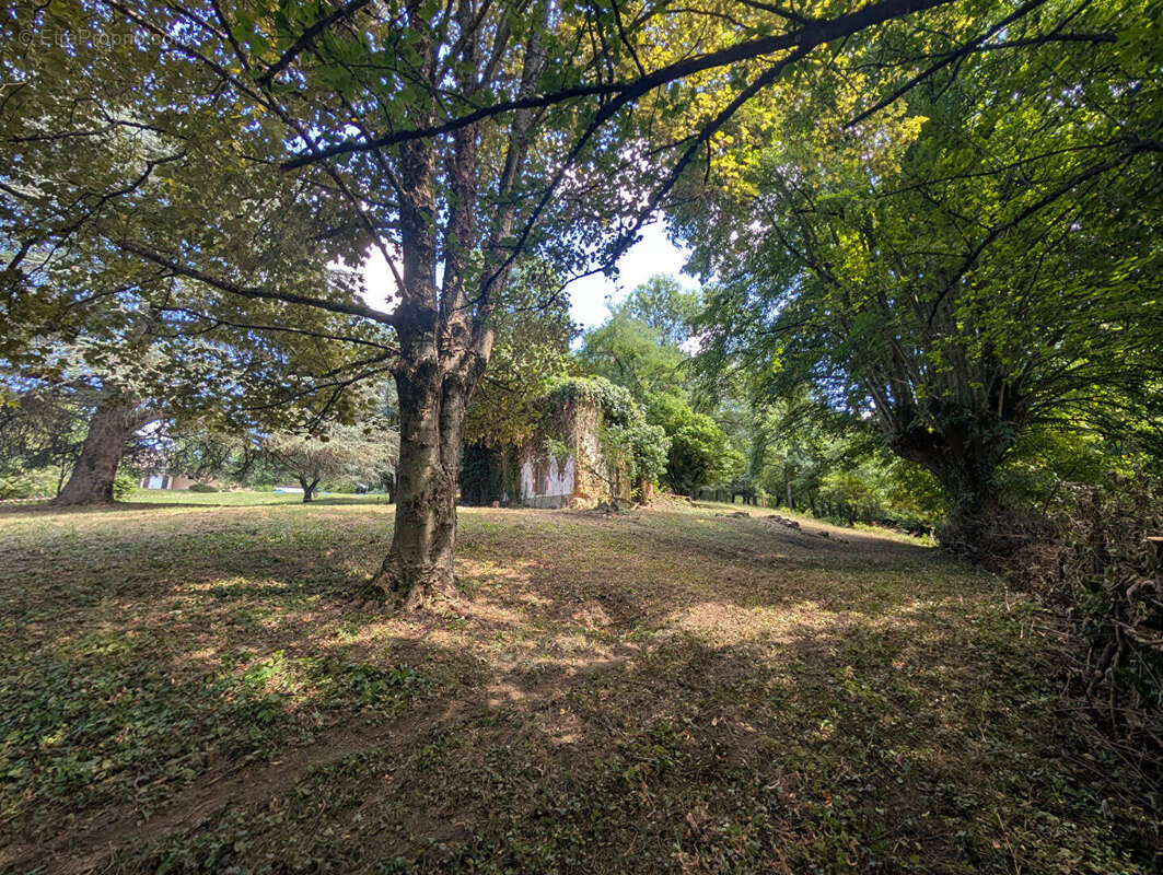 Terrain - Vienne  -16000 m2 - photo 4