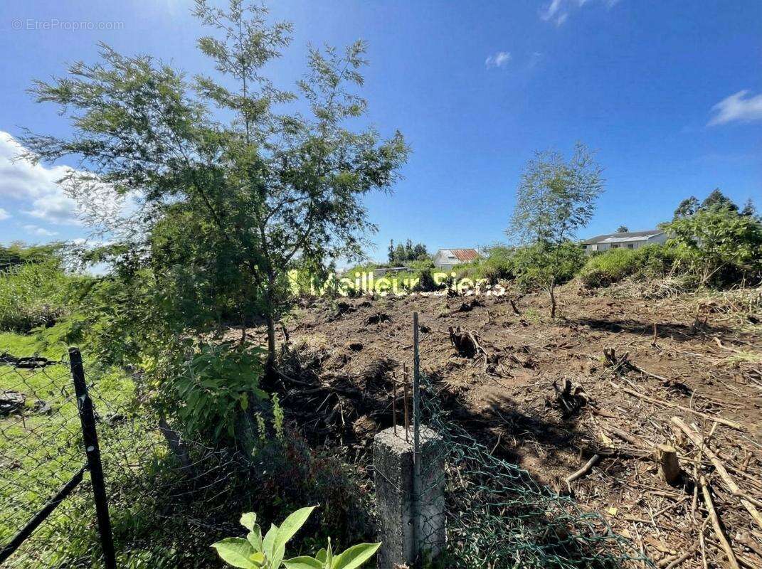 Terrain à SAINT-JOSEPH
