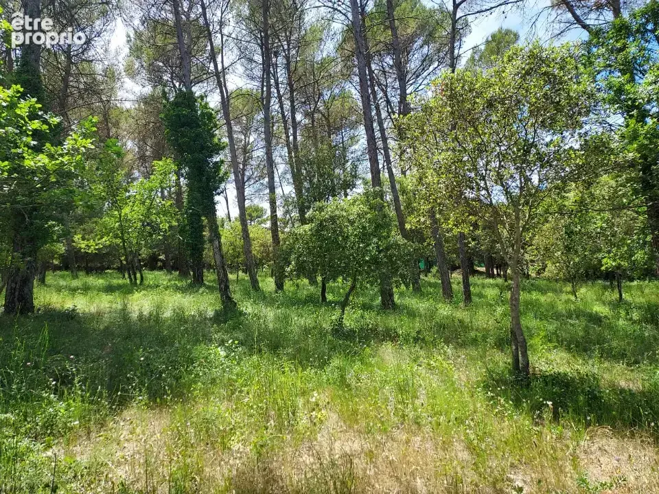 Terrain 847 m² à vendre à Gareoult (83136) - photo 5