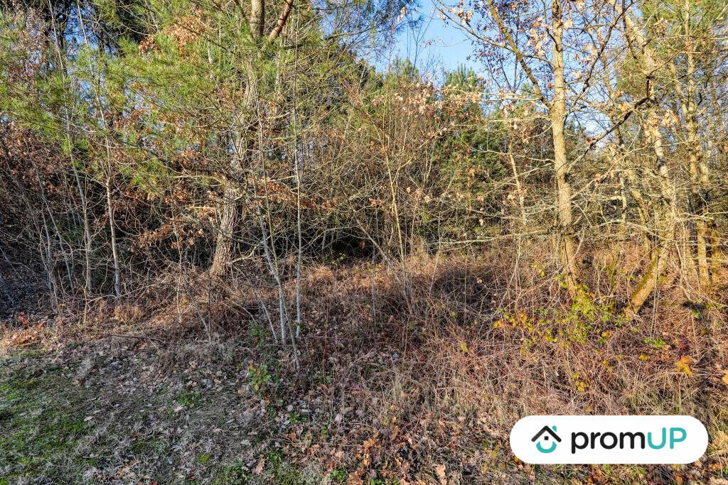 Terrain à CHATILLON-SUR-CHER