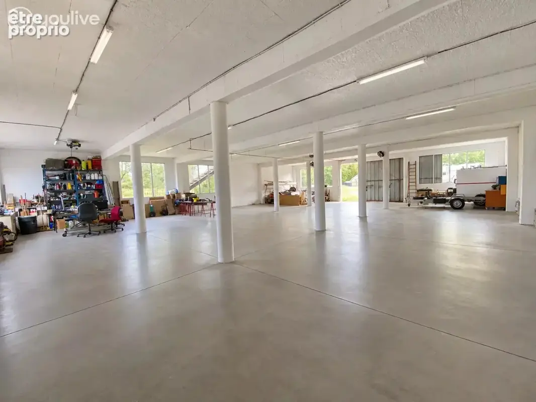Maison dpe a, ateliers, local professionnel et étang - photo 15
