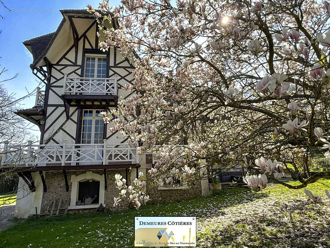 Maison à YPORT