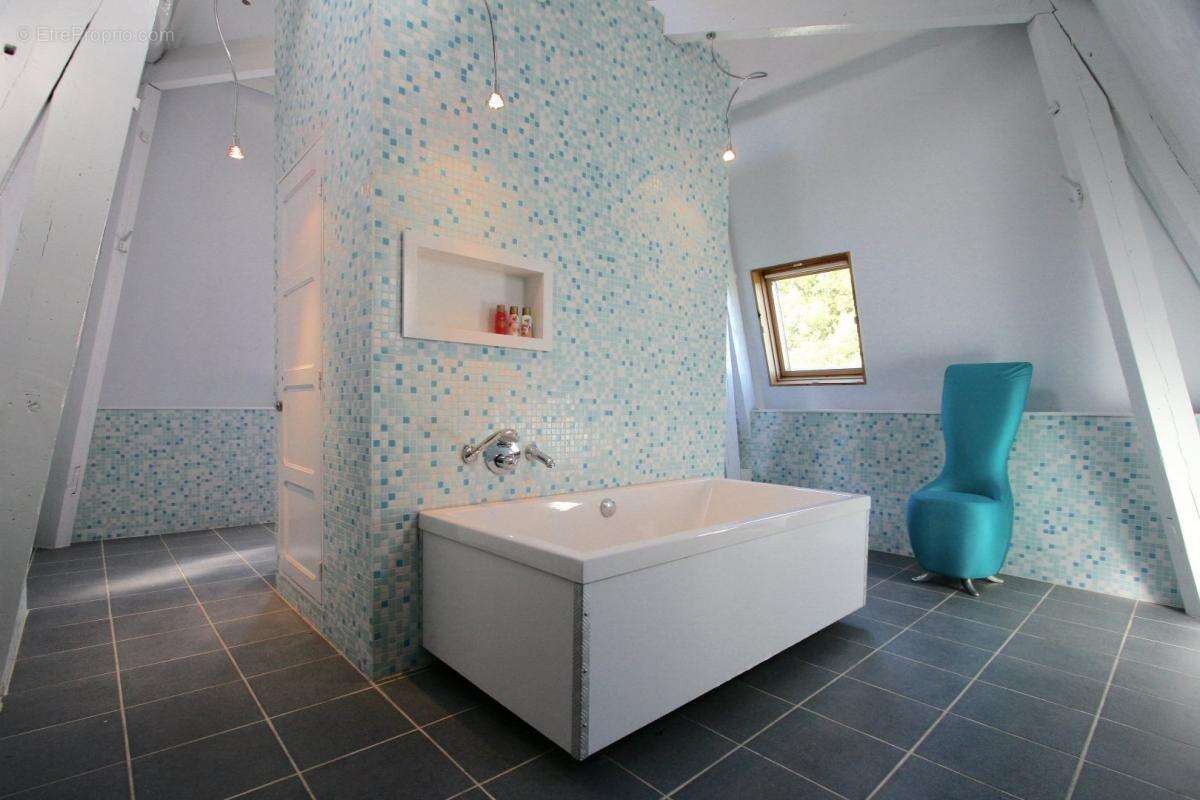 Maison à CHATEAUNEUF-LA-FORET