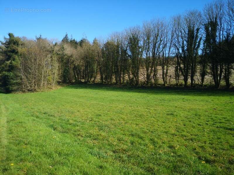 Terrain à PLOURAY