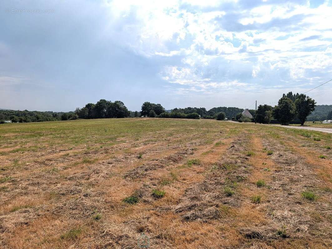 Propriété sur 27 hectares, maison 179 m2, bâtiments de 700 m2 salle de réception et 600 m2 garage - photo 23