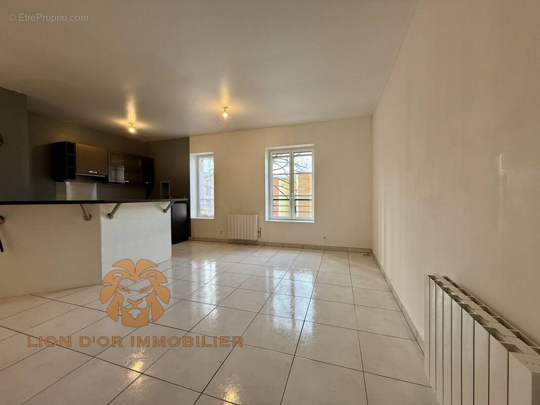 Appartement à NEUVILLE-SUR-SAONE