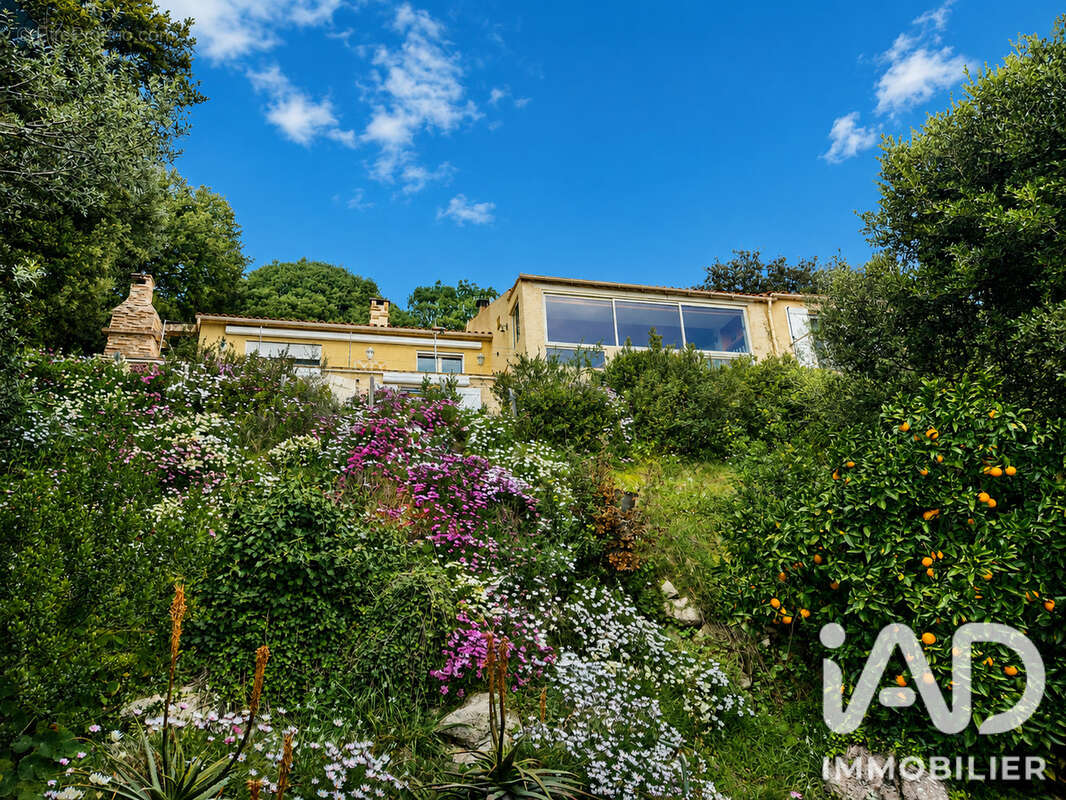 Photo 3 - Maison à OLMETO