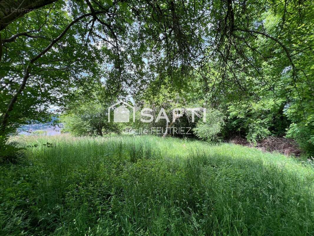 Photo 4 - Maison à TULLE