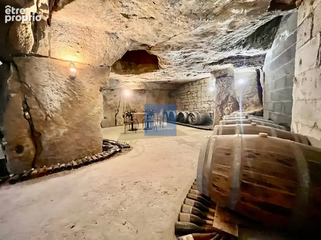 Pouançay (86) propriété de charme coeur village (5 ch) avec  grandes caves troglo - photo 31