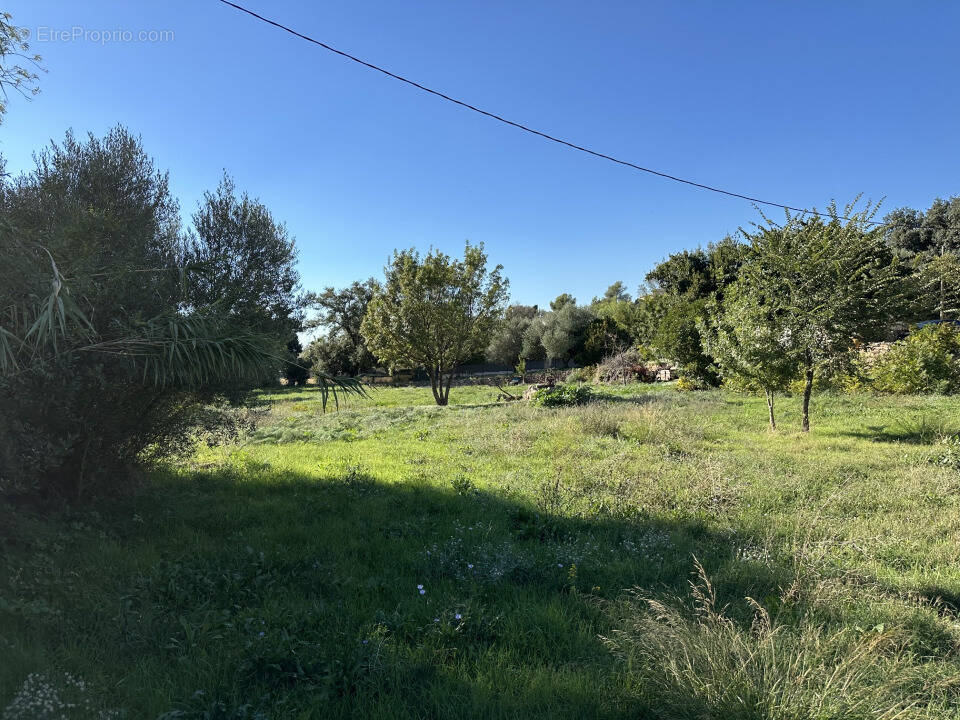 Terrain à LA GARDE