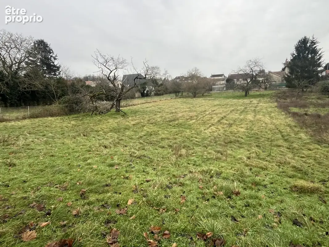 Terrain 910 m² à vendre à Saintry-Sur-Seine (91250) - photo 1