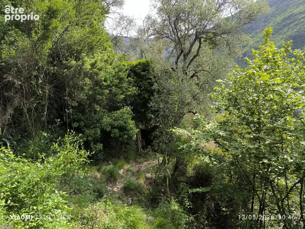 Terrain 5 709 m² à vendre à Breil-Sur-Roya (06540) - photo 3