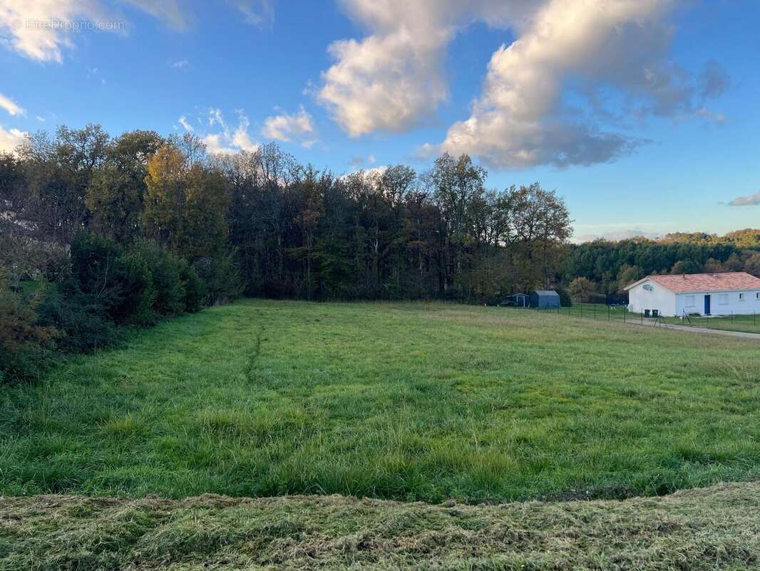 Photo 3 - Terrain à COCUMONT