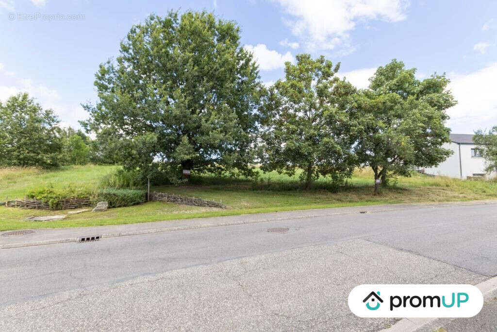 Terrain à GUENVILLER