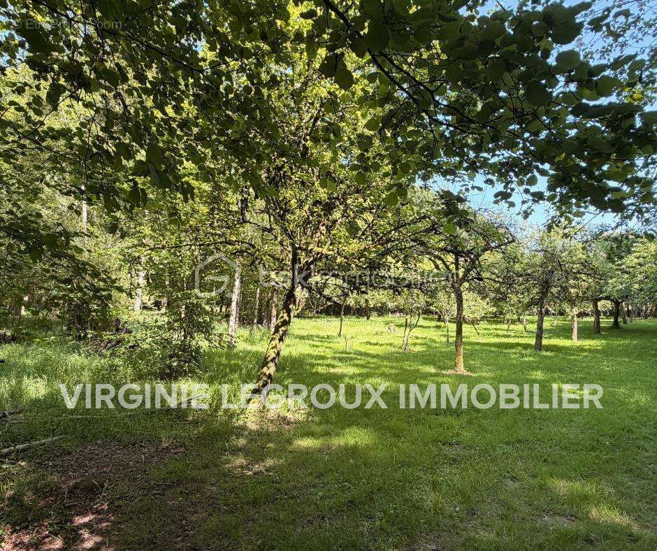 Terrain de loisirs de 15.000m2 avec pièce d'eau et verger - photo 8