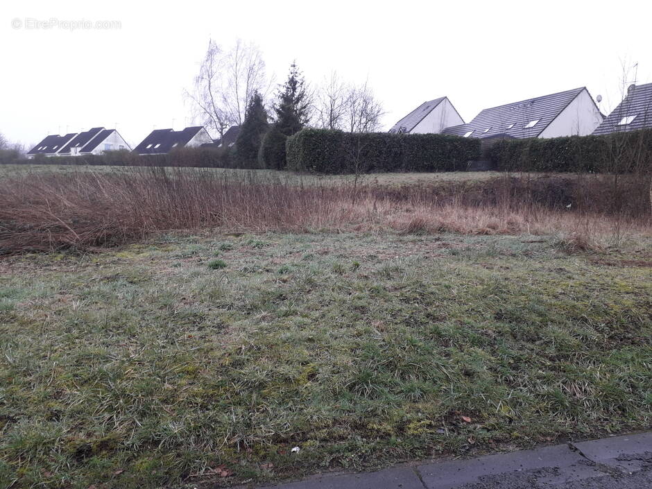 Terrain à NEUVE-MAISON